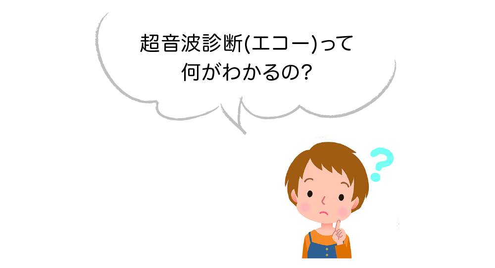 超音波診断(エコー)って何がわかるの?