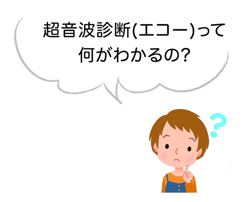 超音波診断(エコー)って何がわかるの?